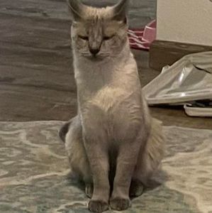 Meet your Posher, Magan